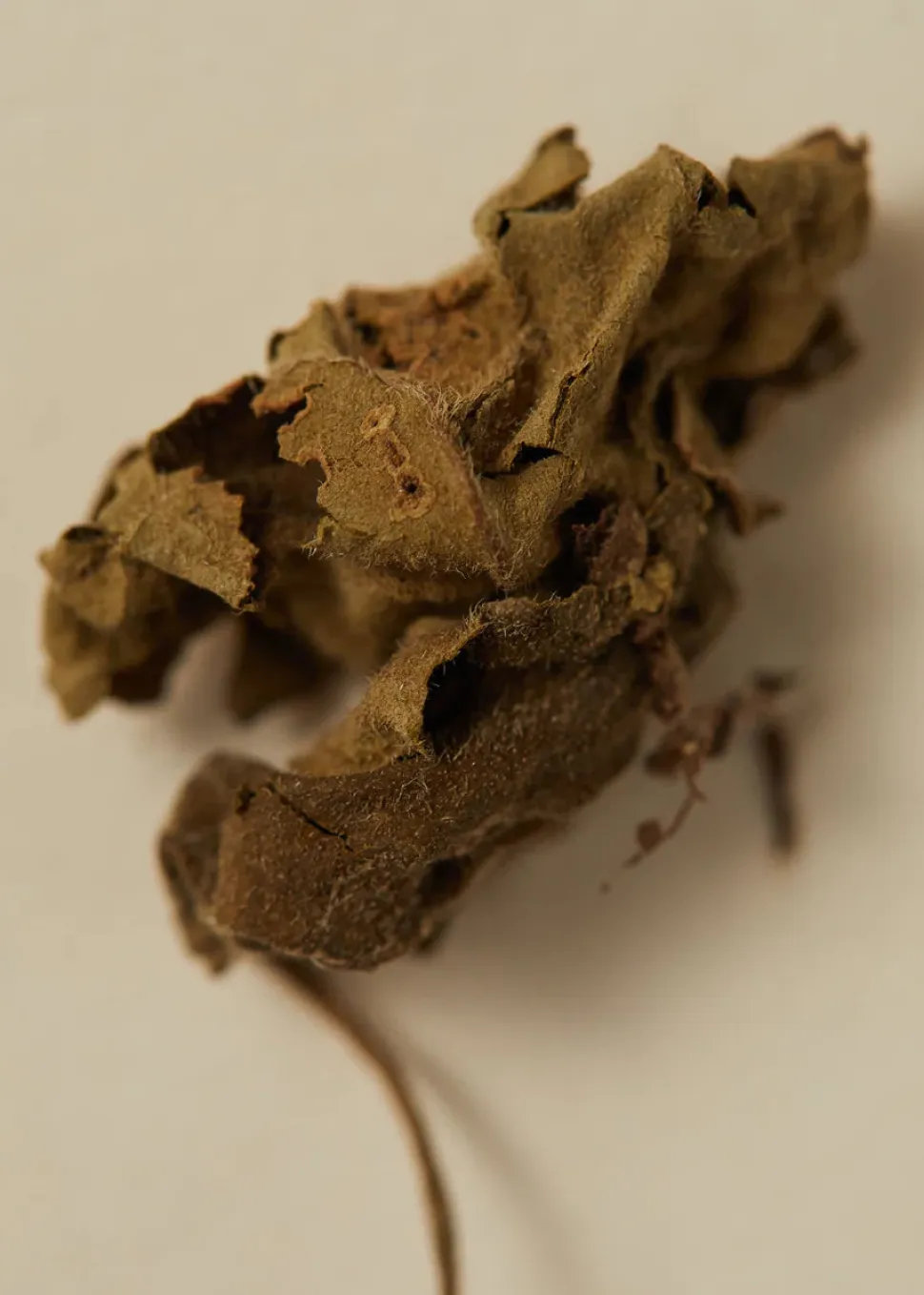 ayu_perfume_oil_ml__smoking_rose_3.webp Ayu Perfume Oil 15ml - Smoking Rose Sale